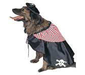accessory: pirate dog