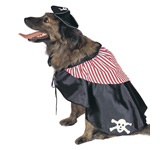 ACCESSORY: PIRATE DOG